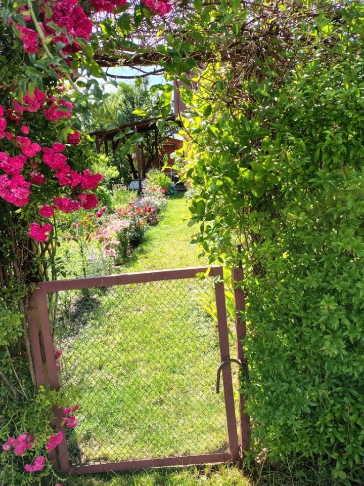 Działka rod Suwałki. Zdjęcie 8