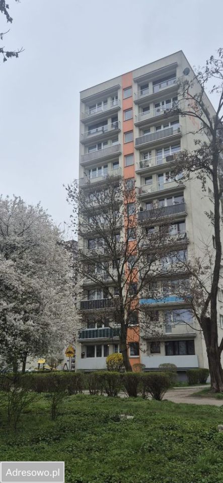 Mieszkanie 3-pokojowe Zabrze Centrum. Zdjęcie 10