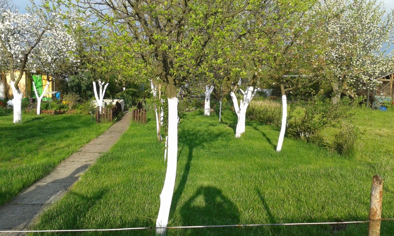 Działka rod Legnica, ul. Chojnowska. Zdjęcie 7