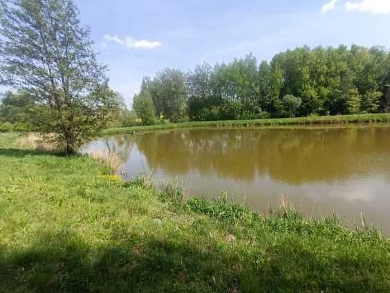 Działka rolna Hopkie. Zdjęcie 2
