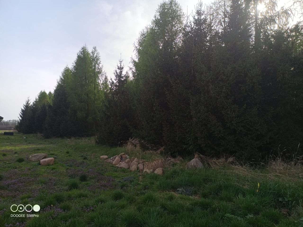 Działka rolno-budowlana Ciszkowo, ul. Polna. Zdjęcie 3