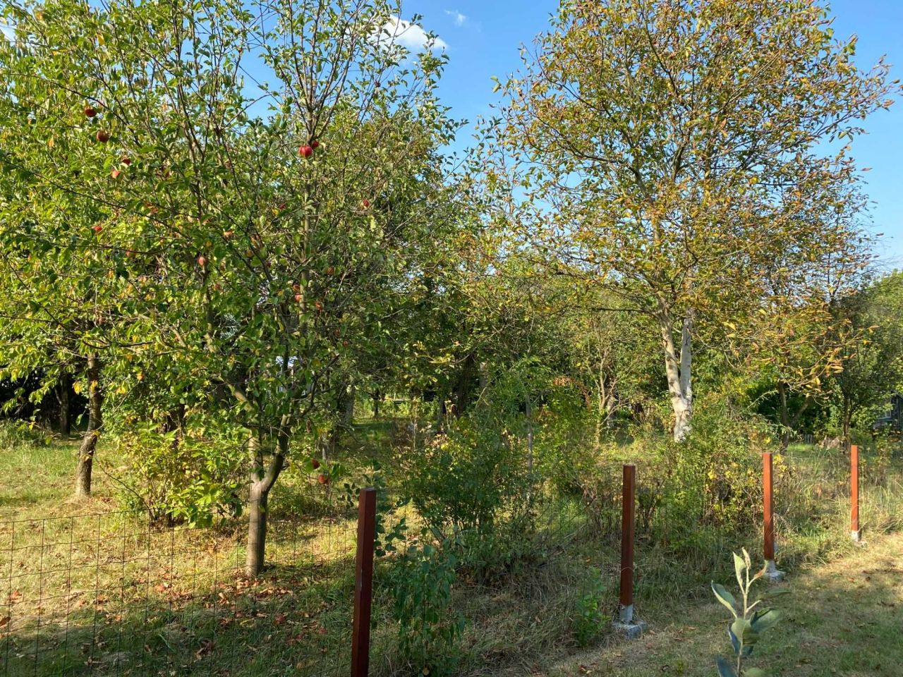 Działka rod Chrzanów. Zdjęcie 2