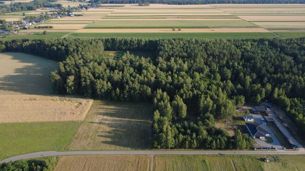 Działka budowlana Michałki kolonia