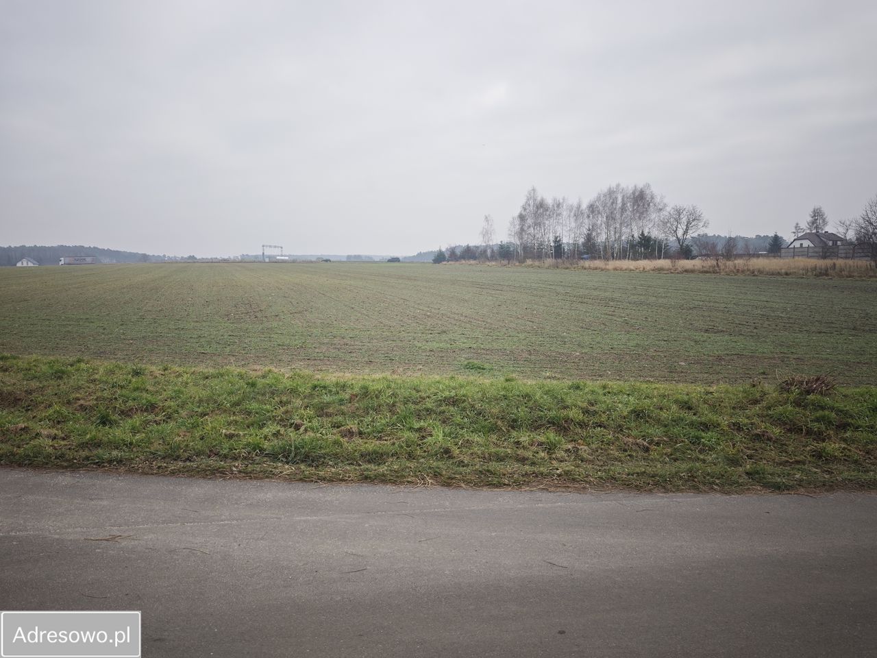 Działka inwestycyjna Grońsko. Zdjęcie 7