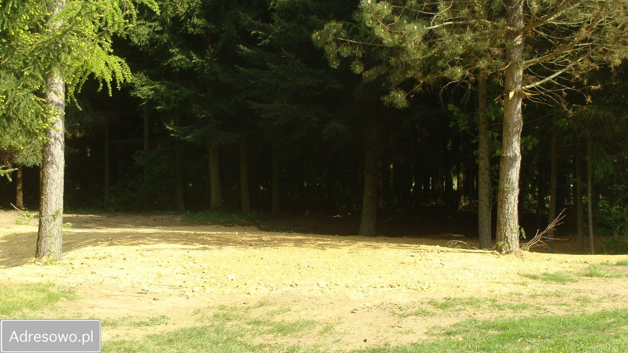 Działka rolna Domaszków, ul. Kolejowa. Zdjęcie 4