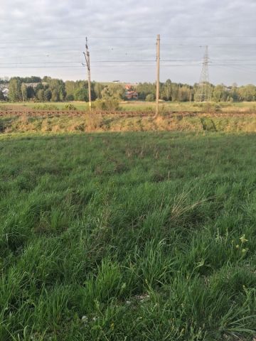 Działka budowlana Brzeziny. Zdjęcie 1
