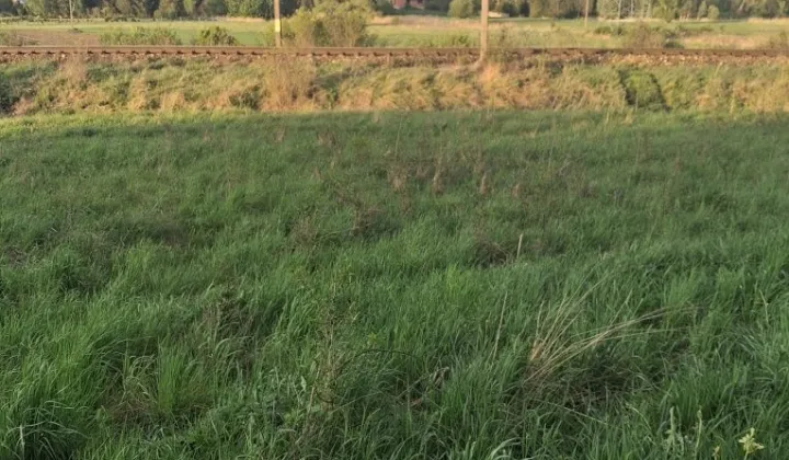 Działka budowlana Brzeziny