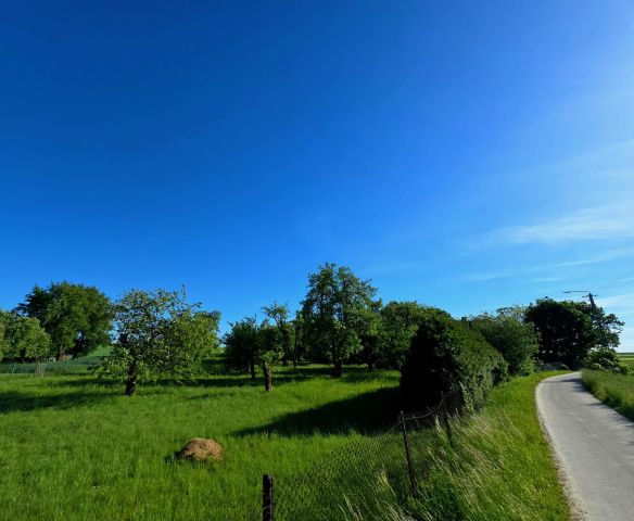 siedlisko, 2 pokoje Krężoły. Zdjęcie 11