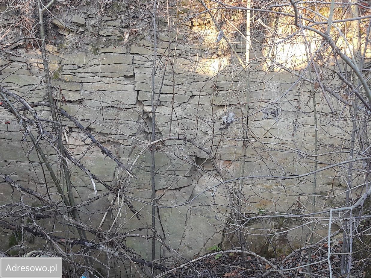 Działka inwestycyjna Szydłowiec, ul. Polna. Zdjęcie 2