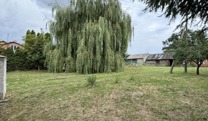 Działka siedliskowa Mokra Lewa