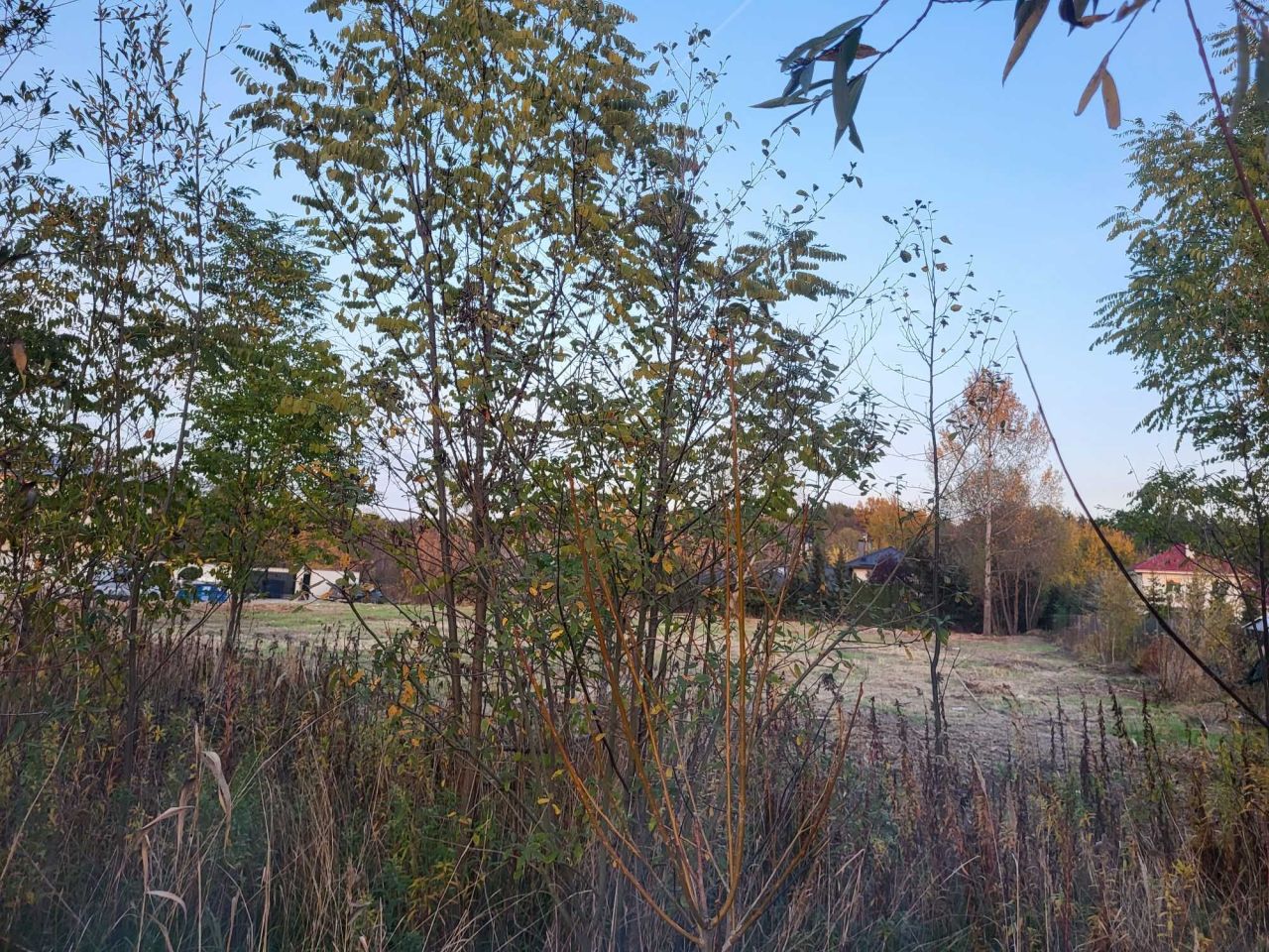 Działka budowlana Warszawa Białołęka. Zdjęcie 7