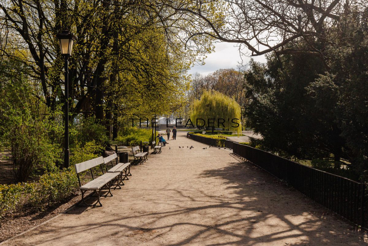 Lokal Warszawa Śródmieście, ul. Niecała. Zdjęcie 4