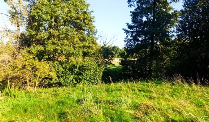 Działka rolna Parma