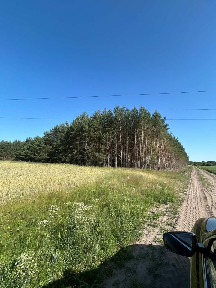 Działka rolna Bużyska. Zdjęcie 3