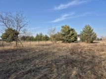 Działka budowlana Lednogóra. Zdjęcie 4