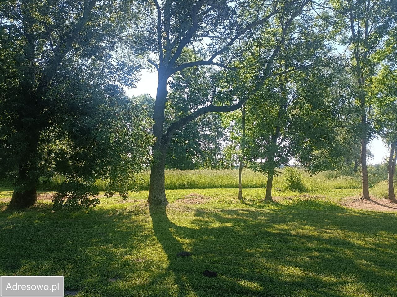 dom wolnostojący, 5 pokoi Niedrzew Drugi. Zdjęcie 10