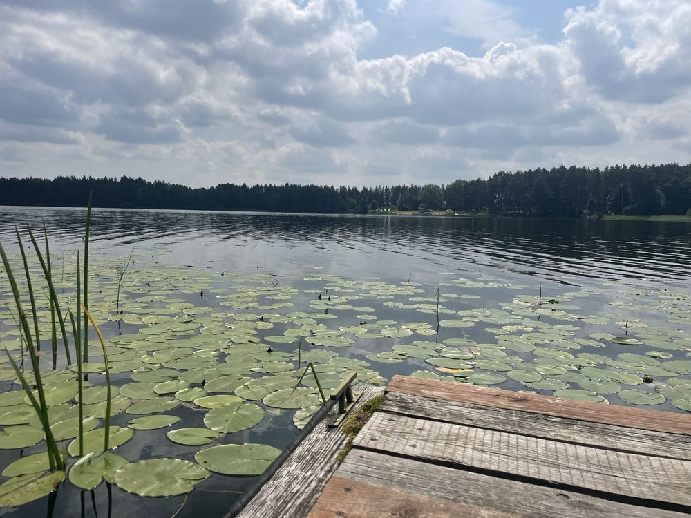 Działka budowlana Chrzanowo, ul. Modrzewiowa. Zdjęcie 8