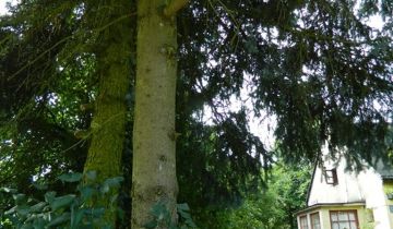 dom wolnostojący, 3 pokoje Mława, ul. Ceglana