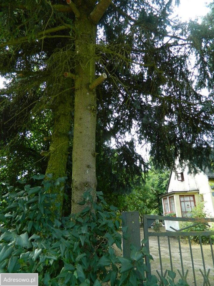 dom wolnostojący, 3 pokoje Mława, ul. Ceglana. Zdjęcie 2