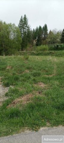 Działka rolno-budowlana Olszanica. Zdjęcie 1