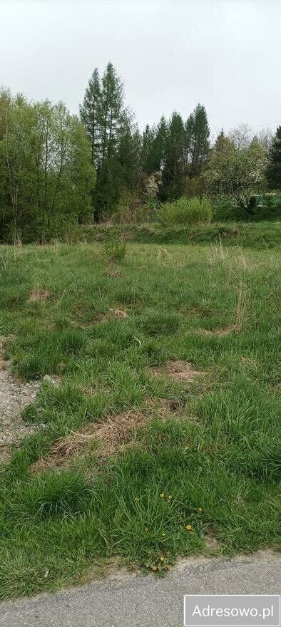 Działka rolno-budowlana Olszanica