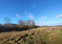 Działka rolna Dalno. Zdjęcie 4