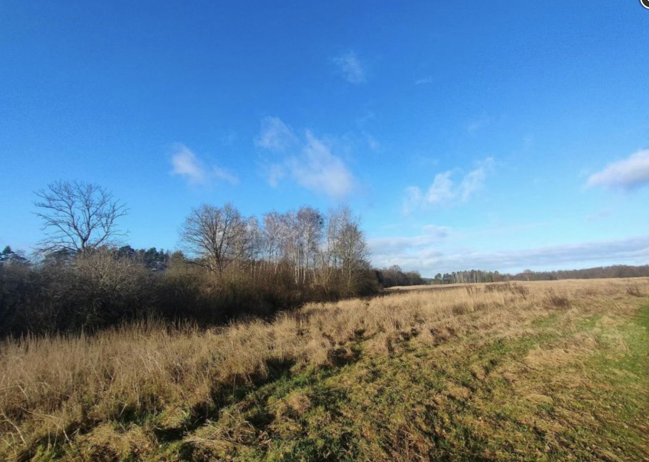 Działka rolna Dalno. Zdjęcie 5