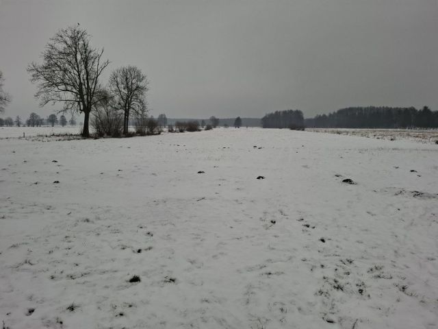 Działka rolna Huta Szklana. Zdjęcie 1