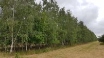 Działka budowlana Piotrków Trybunalski Raków, ul. Rakowska. Zdjęcie 2