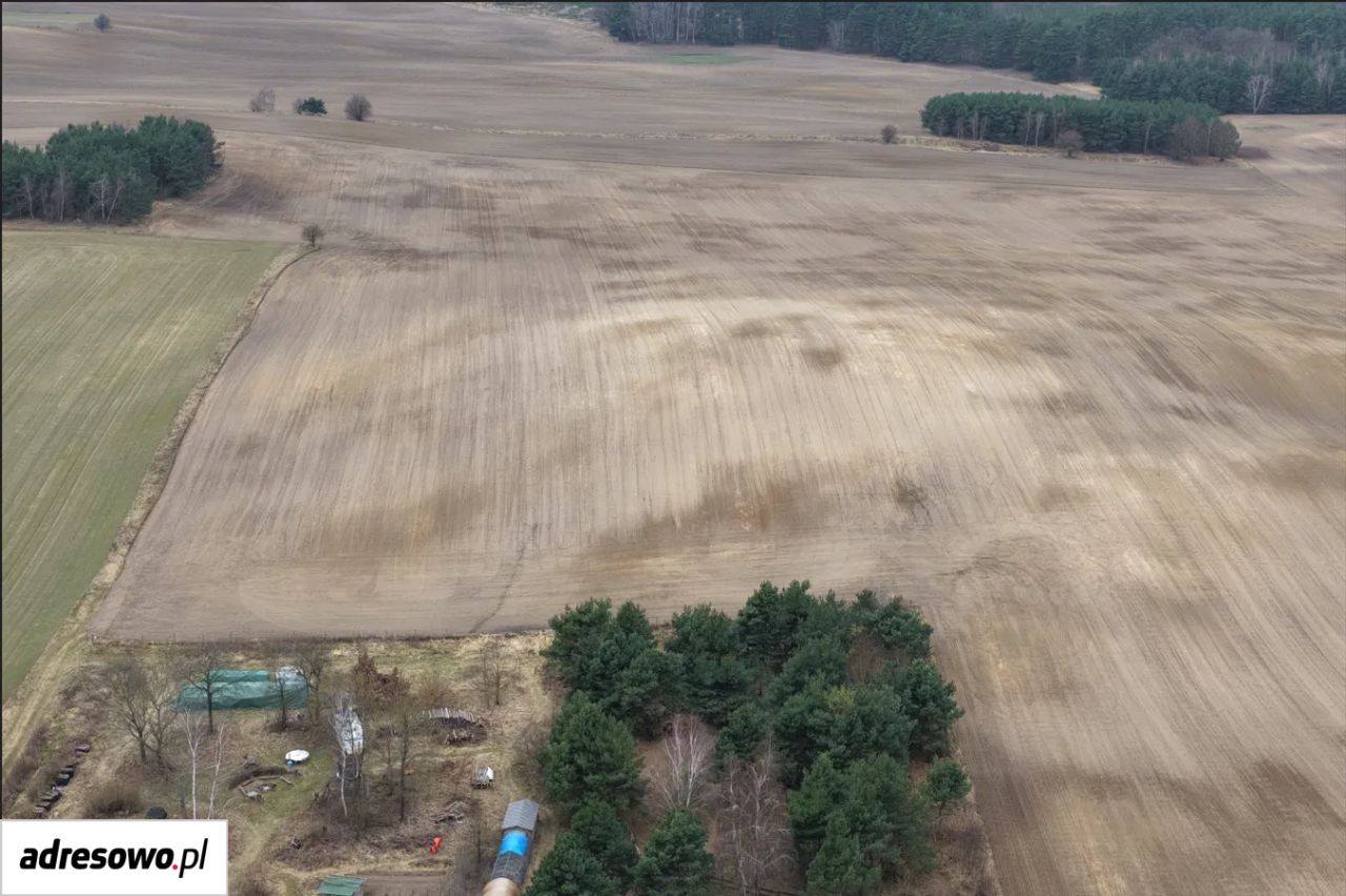 Działka budowlana Gronów. Zdjęcie 2
