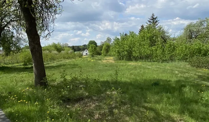 Działka rolno-budowlana Cegielnia, Cegielnia