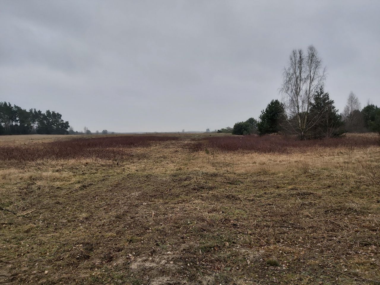 Działka rolno-budowlana Wola Pieczyska. Zdjęcie 9