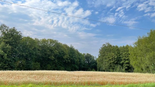 Działka rolno-budowlana Kozy Krzemionki, ul. Spółdzielcza. Zdjęcie 1