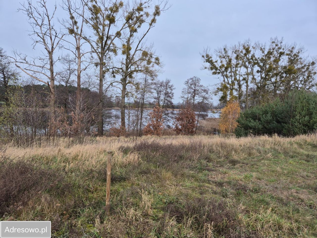 Działka budowlana Orliczko. Zdjęcie 14