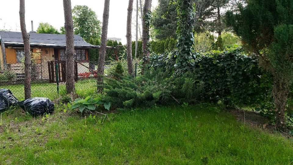 Działka rod Żyrardów. Zdjęcie 6