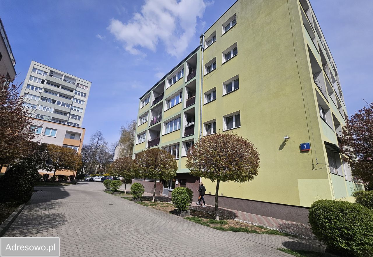Mieszkanie 1-pokojowe Warszawa Saska Kępa, ul. Argentyńska. Zdjęcie 12