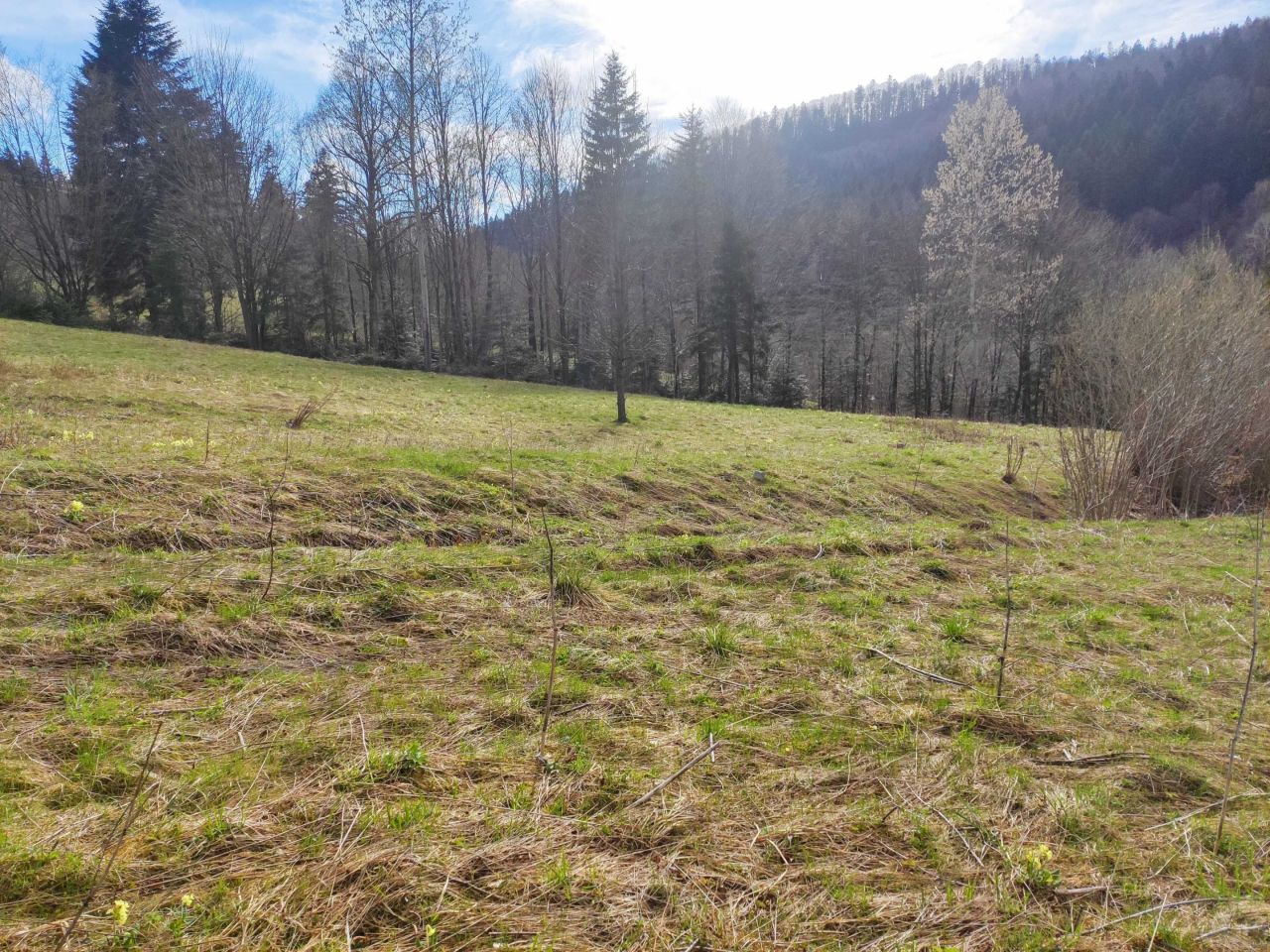 Działka rolno-budowlana Baligród