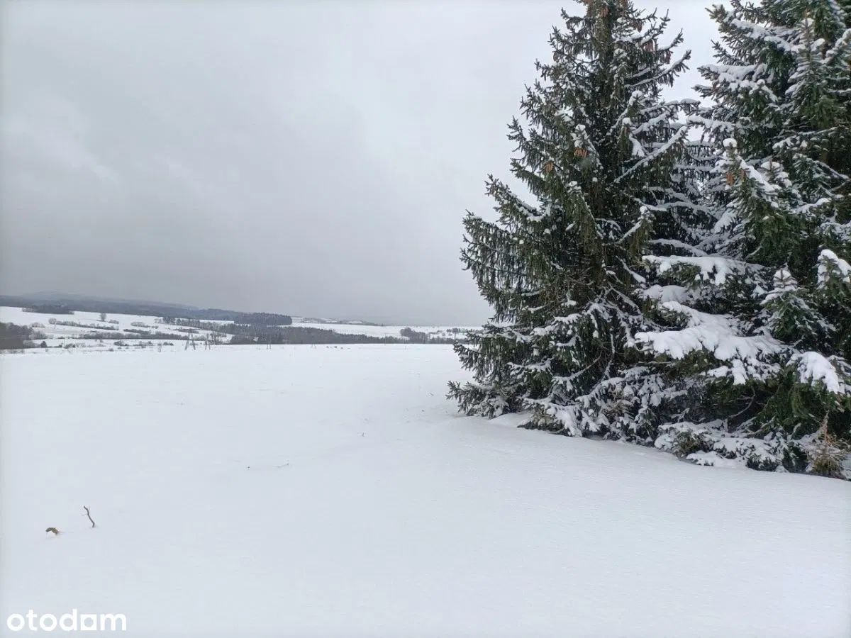 Działka budowlana Międzylesie, ul. Warszawska. Zdjęcie 3