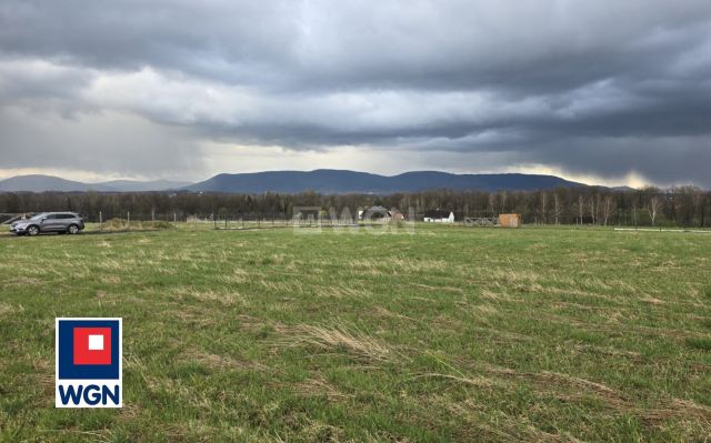 Działka budowlana Pisarzowice, ul. Czernichowska. Zdjęcie 12