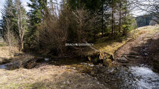 dom wolnostojący, 3 pokoje Sidzina. Zdjęcie 27