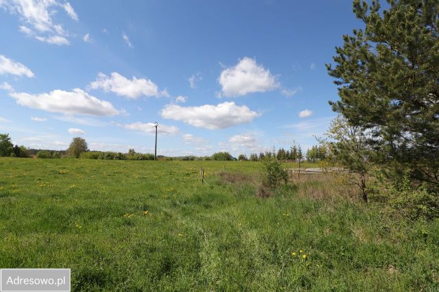 Działka rolna Ogródek. Zdjęcie 1