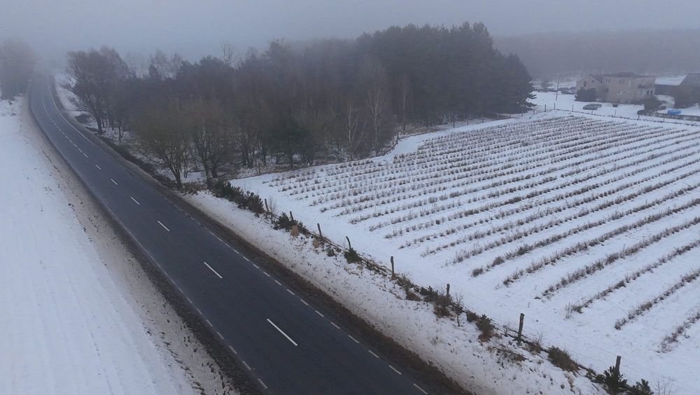 Działka Lubiewice. Zdjęcie 6