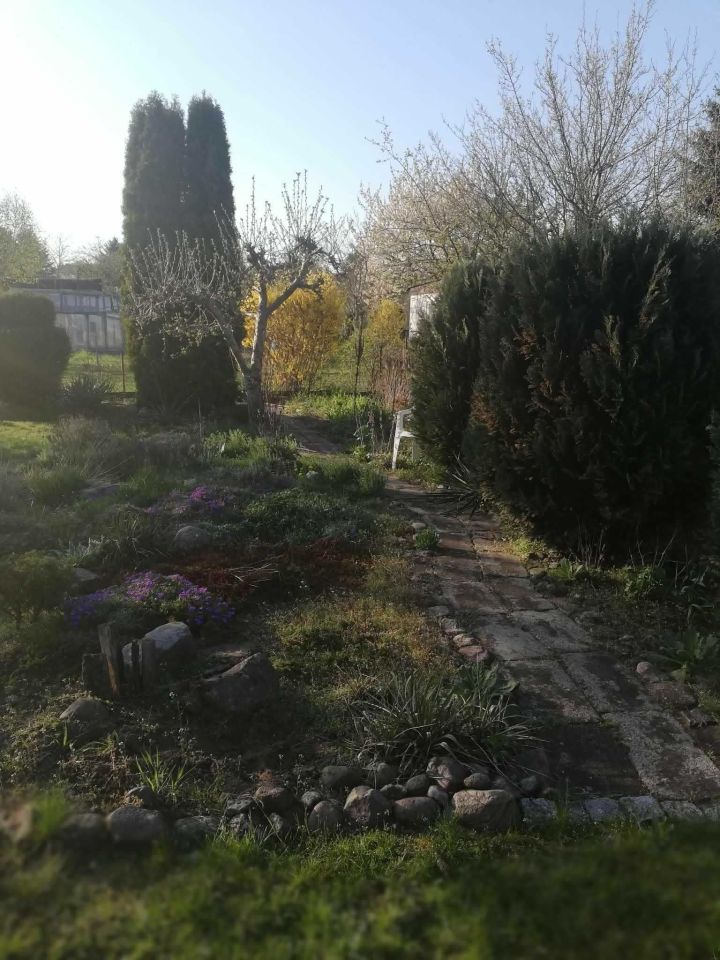 Działka rod Zielona Góra Jędrzychów. Zdjęcie 6