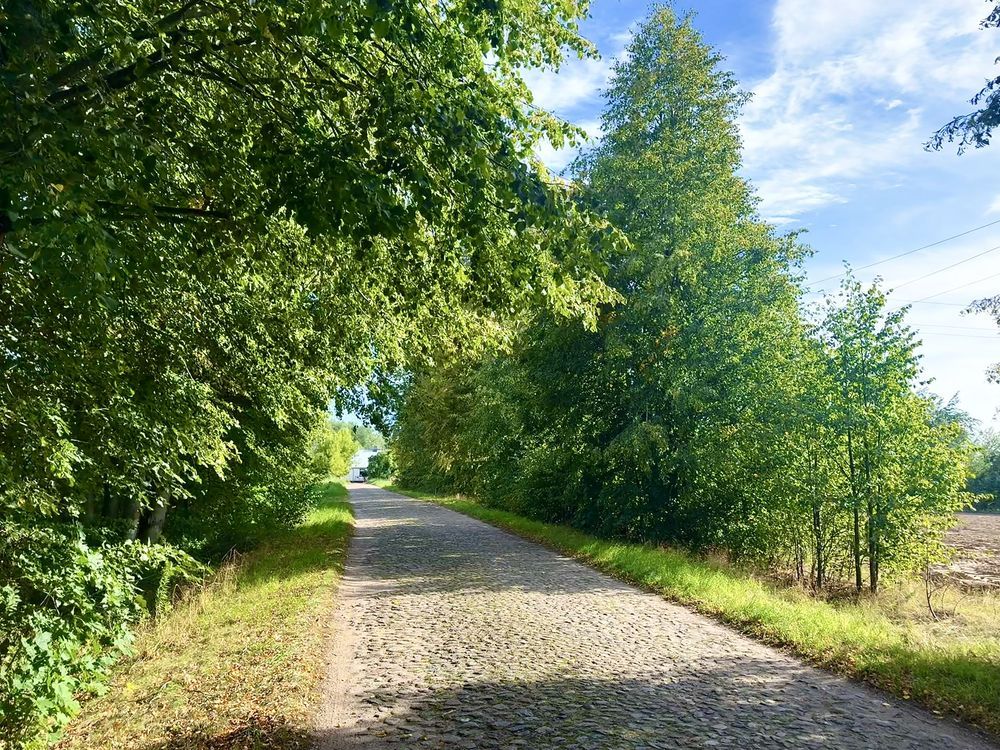 Działka budowlana Markowszczyzna. Zdjęcie 1