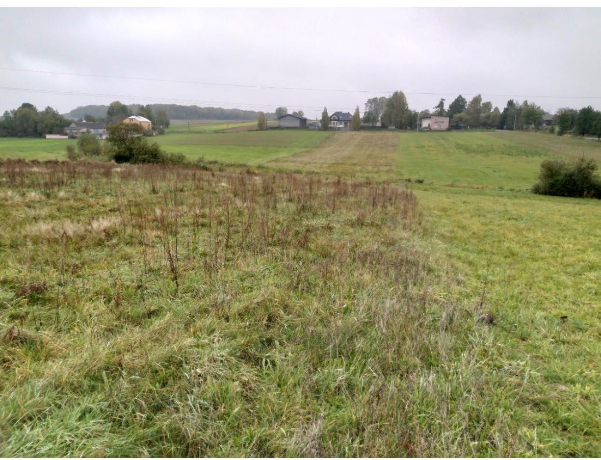 Działka budowlana Bodziejowice. Zdjęcie 2