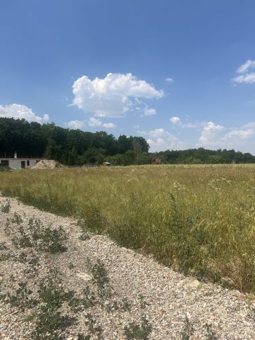 Działka rolno-budowlana Pawłów. Zdjęcie 1