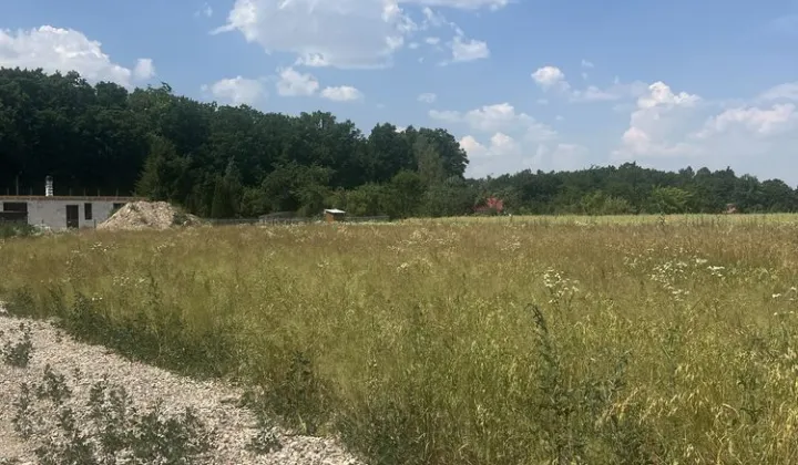 Działka rolno-budowlana Pawłów