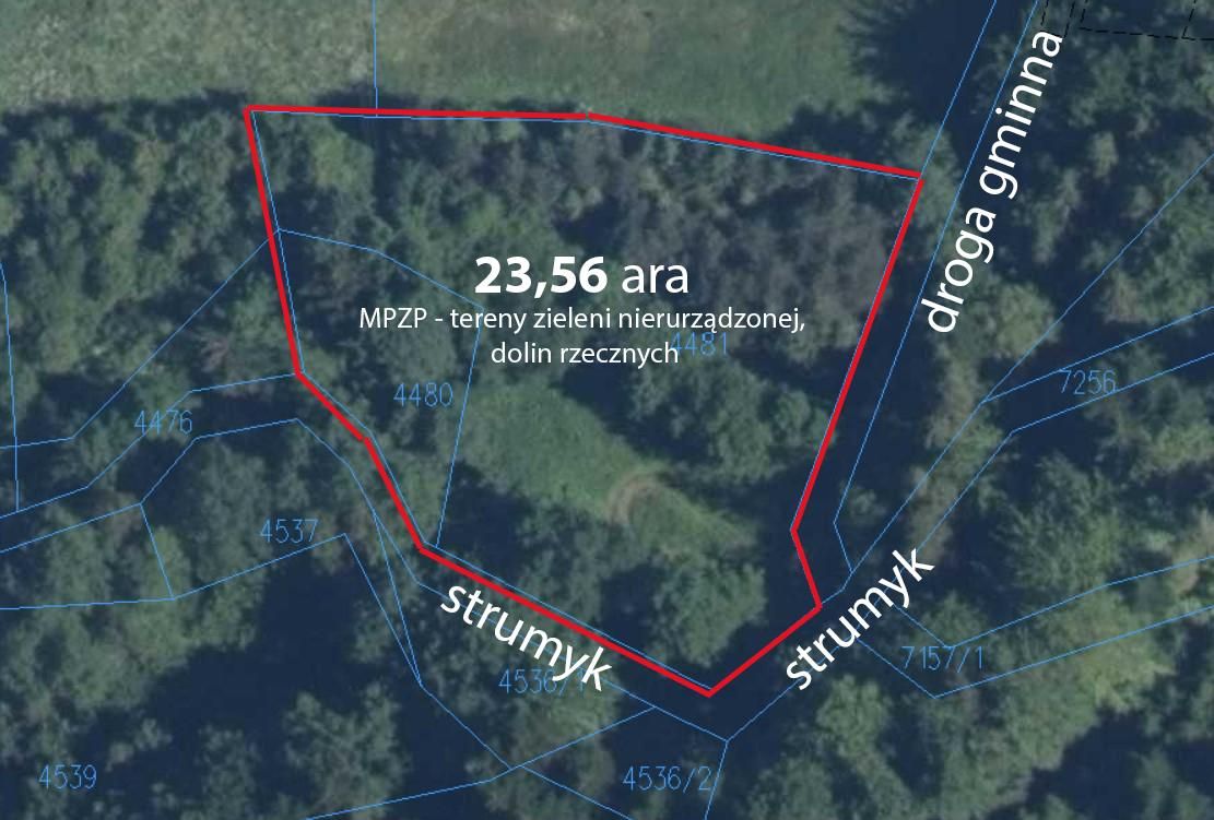 Działka rolna Żarnówka U Polańskich. Zdjęcie 2