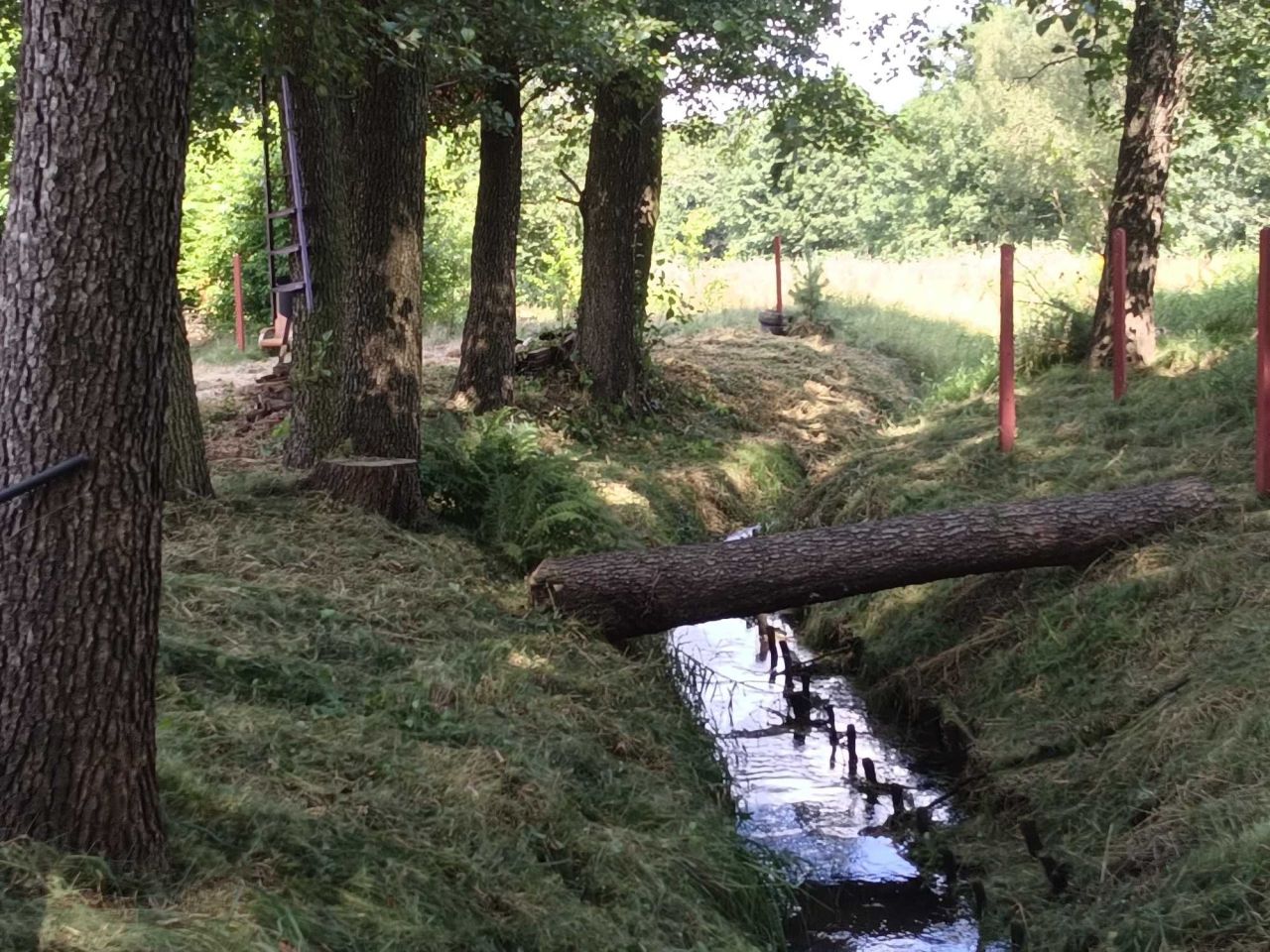 Działka rolna Rybnik. Zdjęcie 4