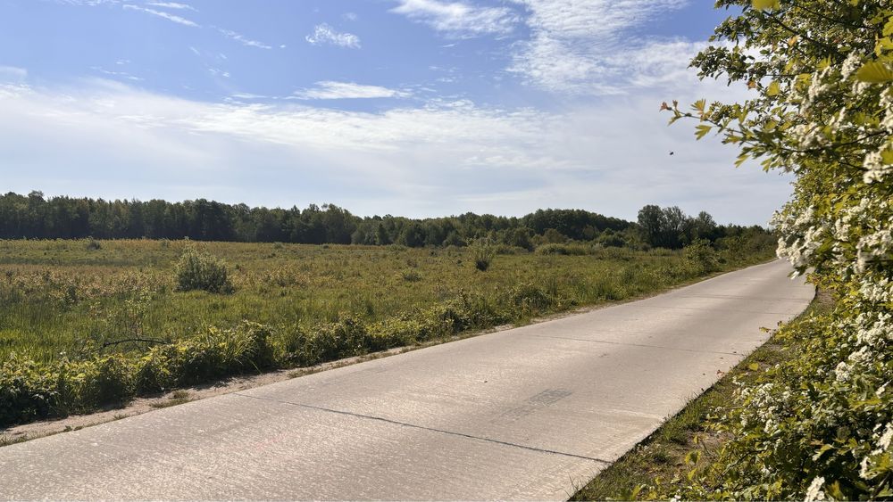 Działka rolna Pęplino. Zdjęcie 4